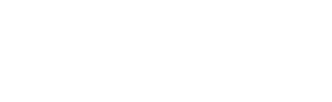 Grey Sentry